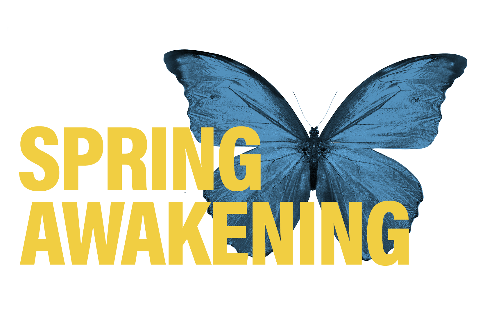 Spring Awakening Selma Arts Center